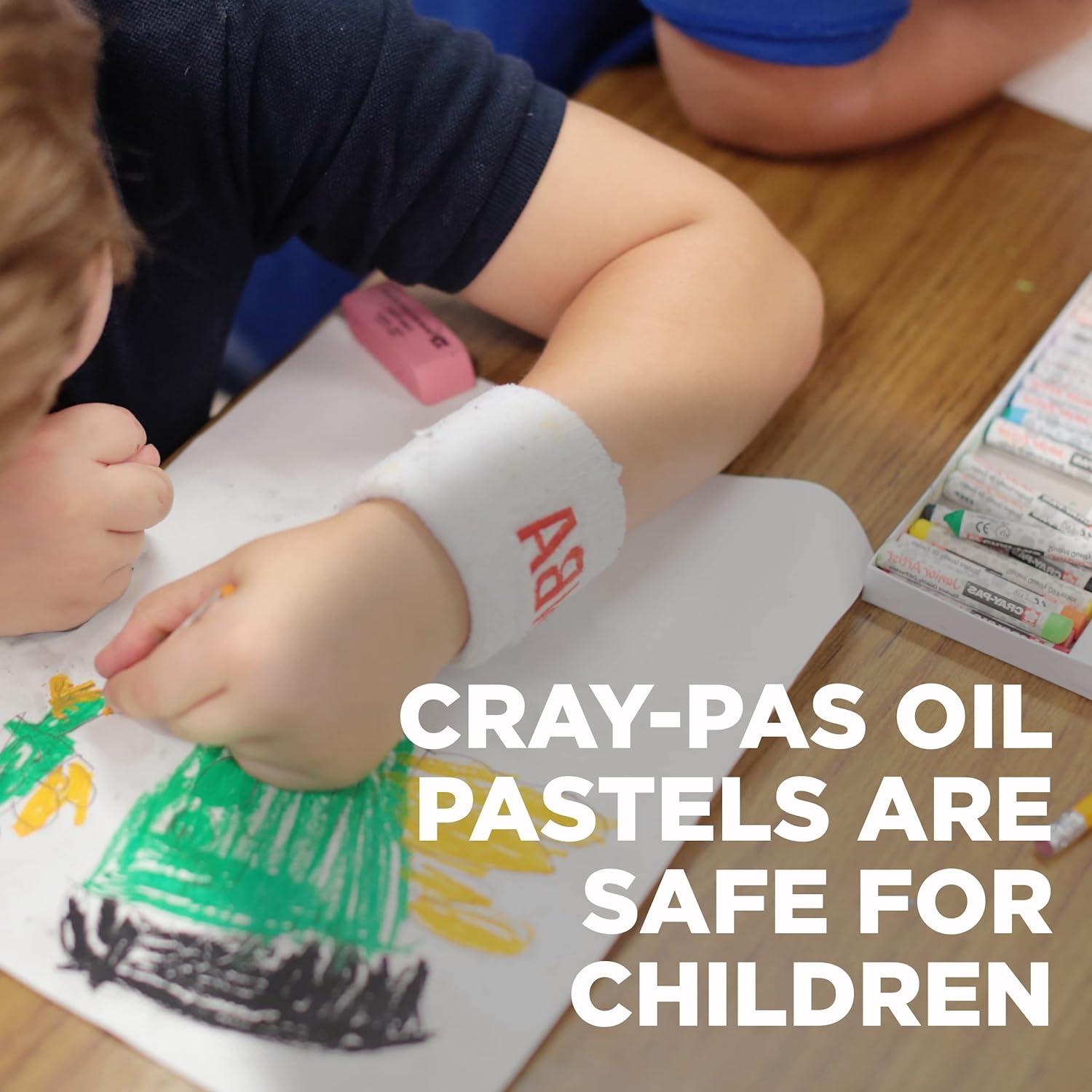 imageSAKURA CrayPas Junior Artist Oil Pastel Set  Chubbies Pastel Size  Soft Oil Pastels for Kids ampamp Artists  12 Colors ampamp Soft Oil Pastels for Kids ampamp Artists  50 Sticks