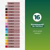 imageSAKURA CrayPas Expressionist Oil Pastel Set  Soft Oil Pastels for Artists  16 Colors