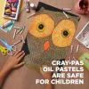 imageSAKURA CrayPas Junior Artist Oil Pastel Set  Soft Oil Pastels for Kids ampamp Artists  50 Sticks16 Count Pack of 1