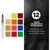 imageSAKURA Koi Pocket Field Sketch Kit  Watercolor Sets for Painting On the Go  12 Colors  1 Water Brush  1 Sponge  1 Palette12 Colors