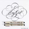 imageSAKURA Pigma Micron Fineliner Pens  Archival Black Ink Pens  Pens for Writing Drawing or Journaling  Assorted Point Sizes  6 Pack