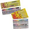 imageSAKURA CrayPas Junior Artist Oil Pastel Set  Chubbies Pastel Size  Soft Oil Pastels for Kids ampamp Artists  12 Colors ampamp Soft Oil Pastels for Kids ampamp Artists  50 Sticks